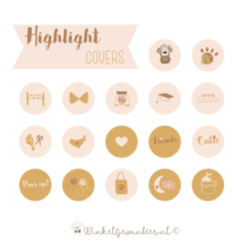 Highlights pallet Abricote