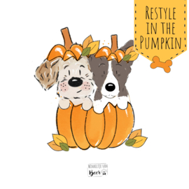 In the Pumpkin | 2 hondjes