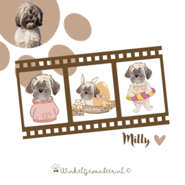 Milly