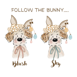 Restyle Follow the Bunny