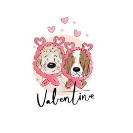 NIEUWE LOOK IN PINK | VALENTIJN