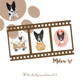 Milow