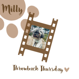 THROWBACK THURSDAY MILLY 10-08-2023