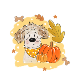 Autumn Pumpkin | 1 hondje