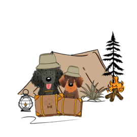 Woof-tastic Restyle Adventure | 2 hondjes