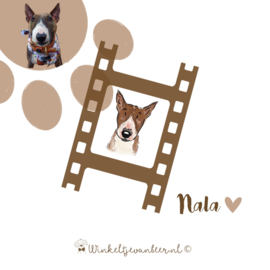 Nala