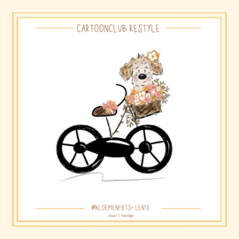 NIEUWE LOOK LENTE - ZACHTE KLEURTJES