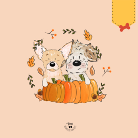 PUMPKIN PAWS | 2 hondjes | Nieuw kies je kleur achtergrond