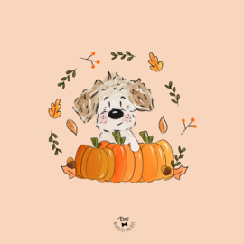 PUMPKIN PAWS | 1 hondje | Nieuw kies je kleur achtergrond