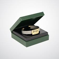 Prife Scalar Energy Bangle Silver