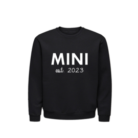 KIDS SWEATER - MINI