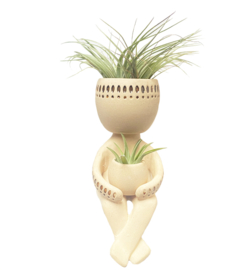 Swinging airplant man