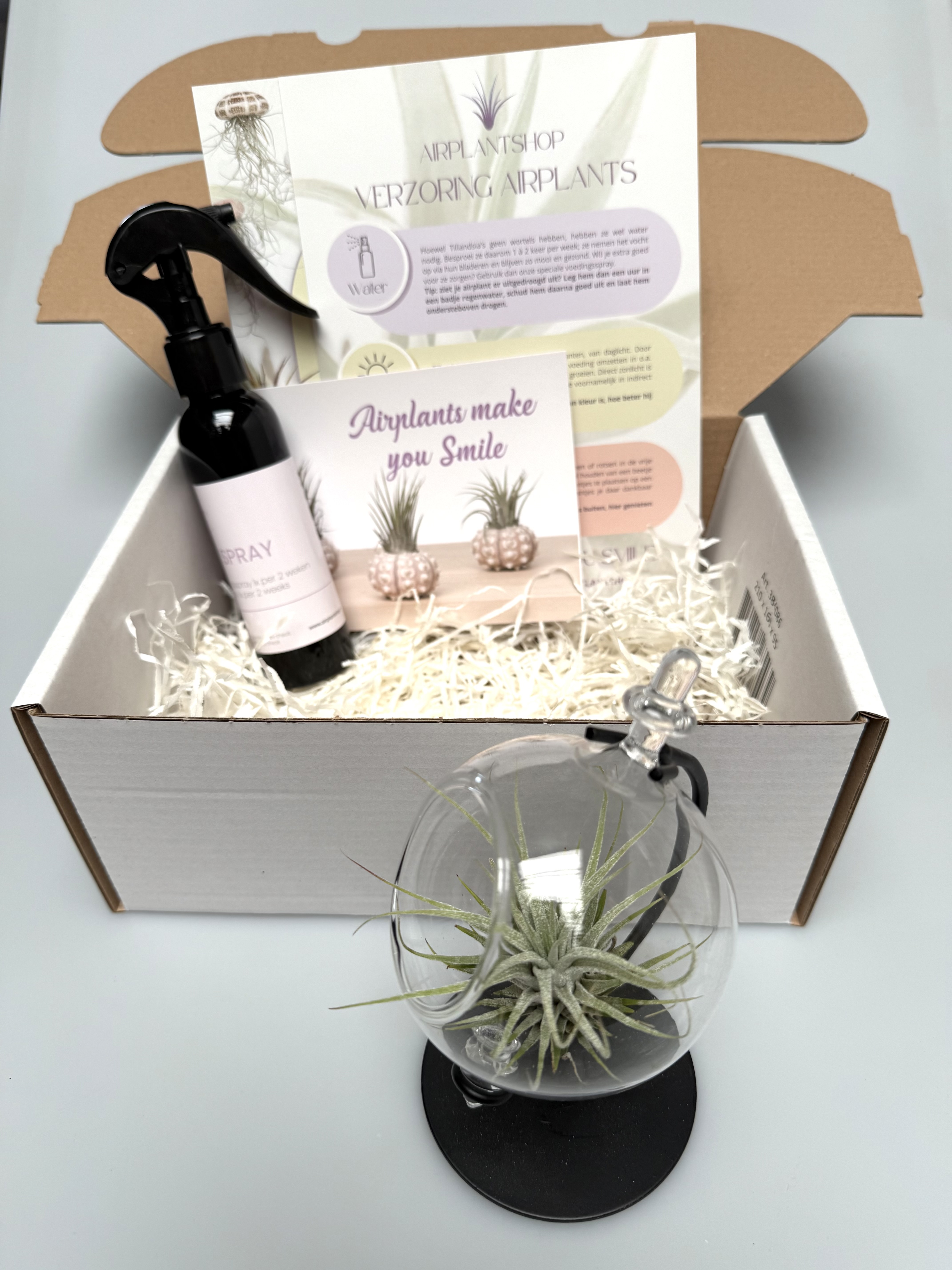 Vaderdag-cadeau kleine globe