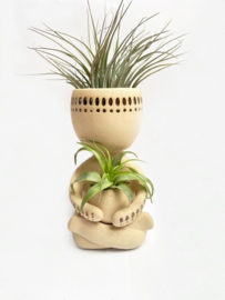 Airplant man