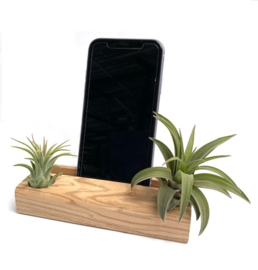 Phoneholder with 2 airplants
