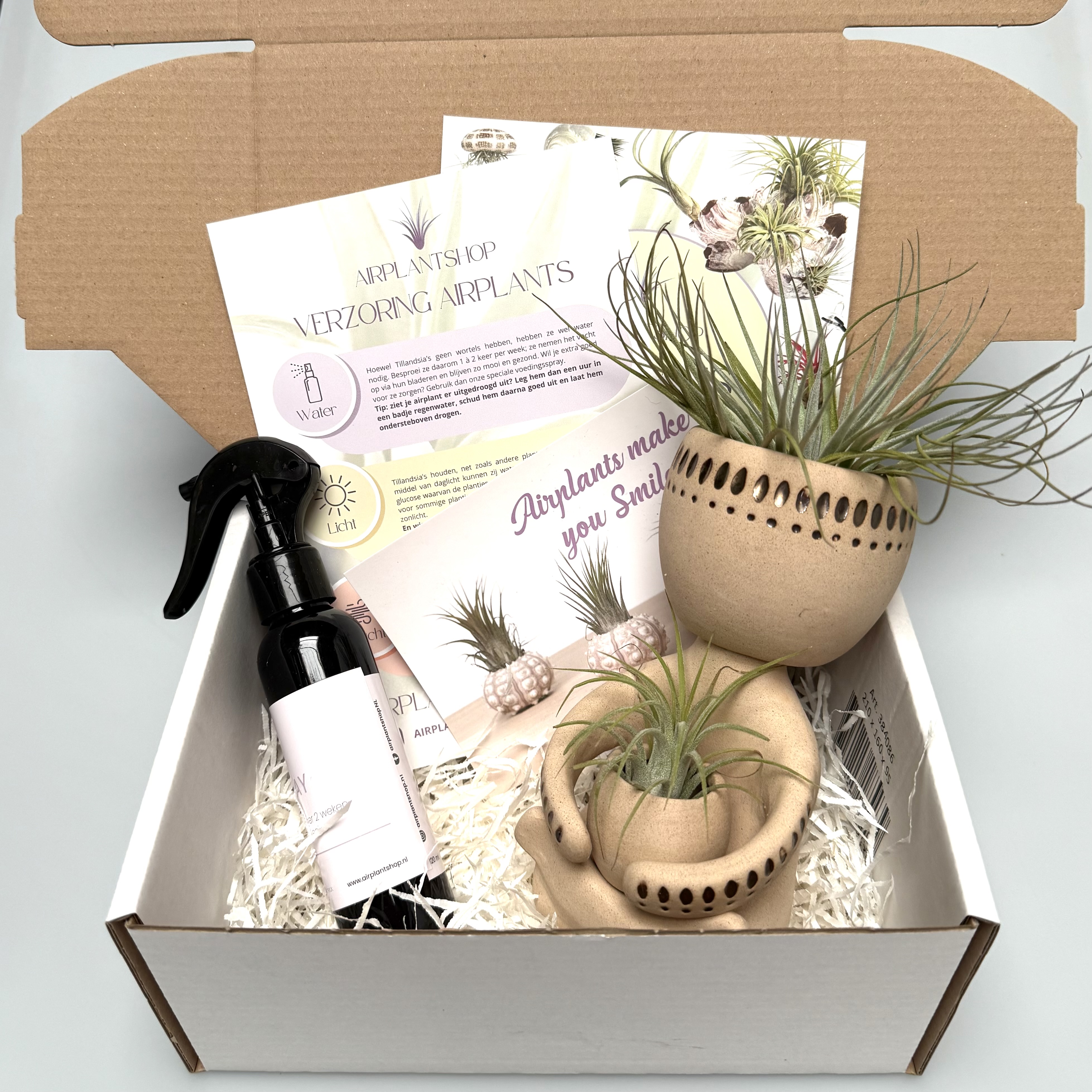 Vaderdag-cadeau airplantman