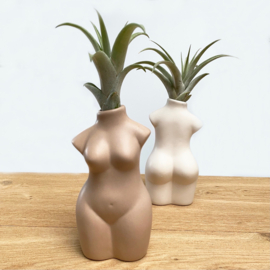 Lady body nude + airplant