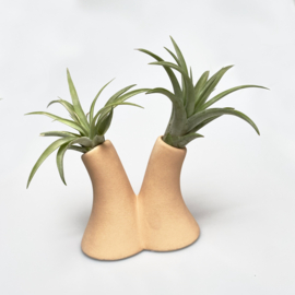 Tube vase beige + airplant