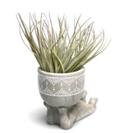 Lazy airplant man (grey)