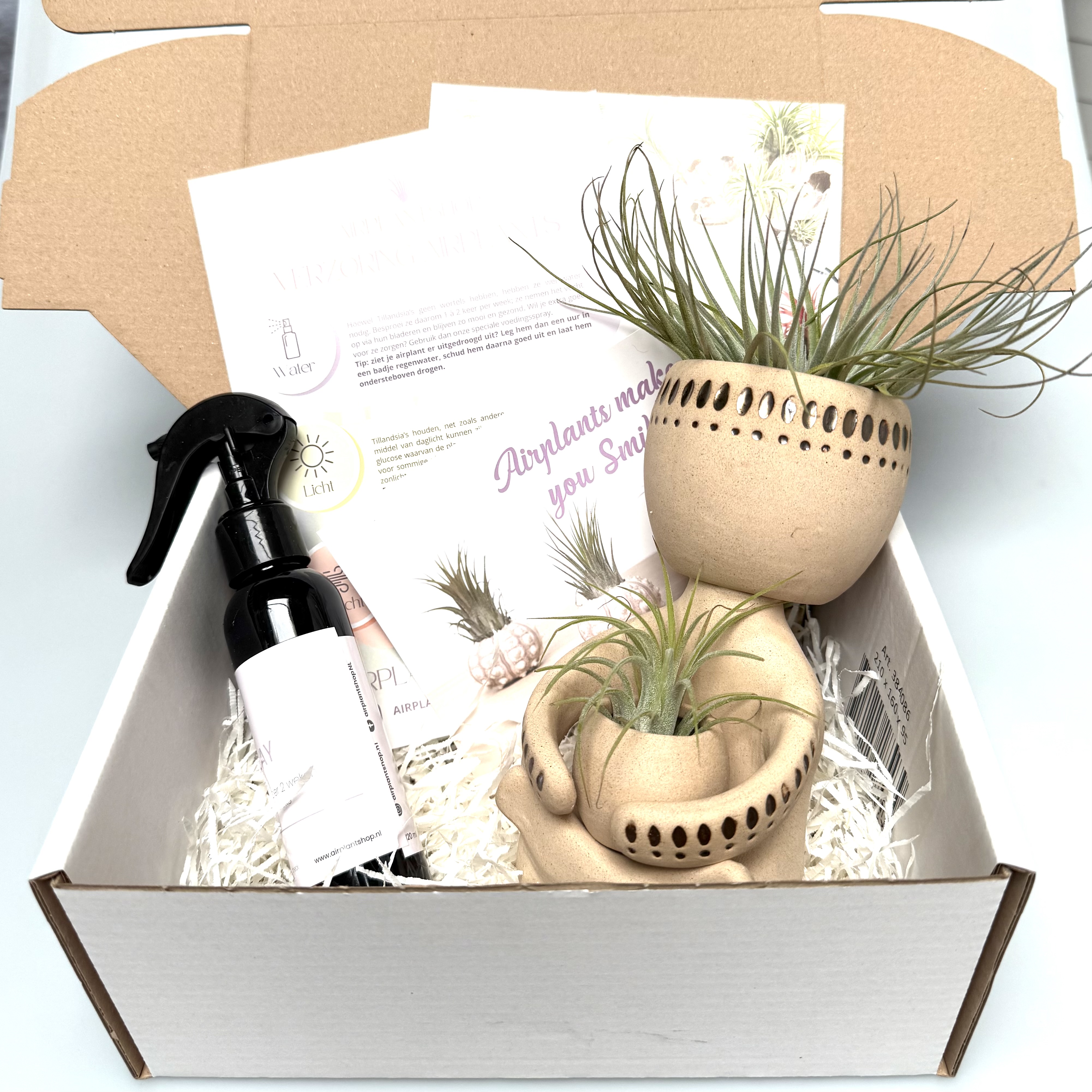 Vaderdag-cadeau airplantman