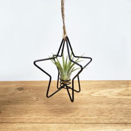 X-mas Star black + airplant