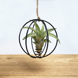 X-mas Ball black + airplant