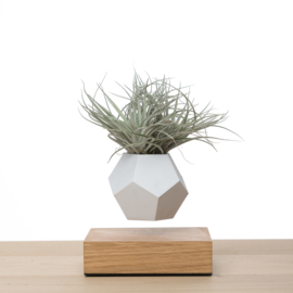 FLYTE - LYFE Planter