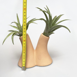 Tube vase beige + airplant