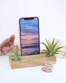 Phoneholder with 2 airplants
