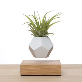 FLYTE - LYFE Planter