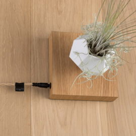 FLYTE - LYFE Planter