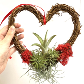 DIY: Krans hartvorm + airplants