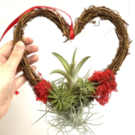 DIY: Wreath in heartshape + airplants