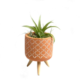 Terra pot geometric + airplant