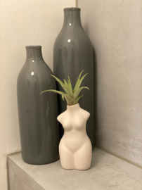 Lady body white + airplant