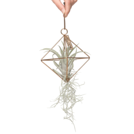 (KOPER) Geometrische hanger + airplant & spaans mos