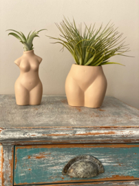 Lady butt nude + airplant