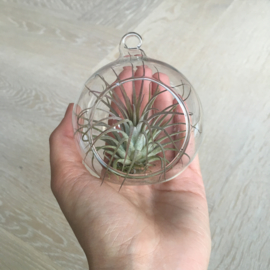 8cm Glasbol in cadeauverpakking (Rood)