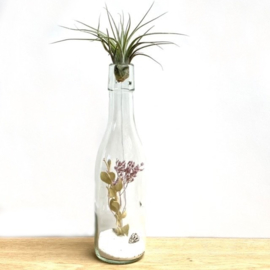 Fles met droogbloemen, ionantha scaposa