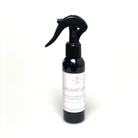 Tillandsia nutrition spray black 120ml