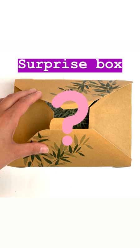 Airplant Surprise Box