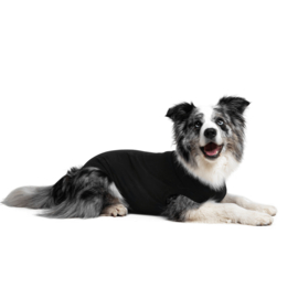 RECOVERY SUIT® CHIEN