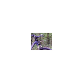 Kickbike dog adapter