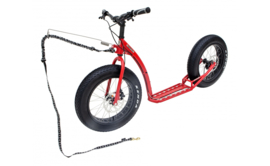 Kostka Raptor Max G6