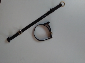 Halsband steekslot  met veiligheid eco line , 15 mm, 20mm , 25 mm ,
