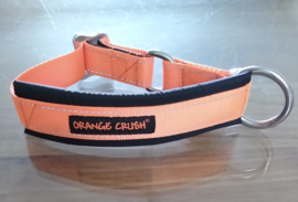 orange crush , gevoerde kennelhalsband