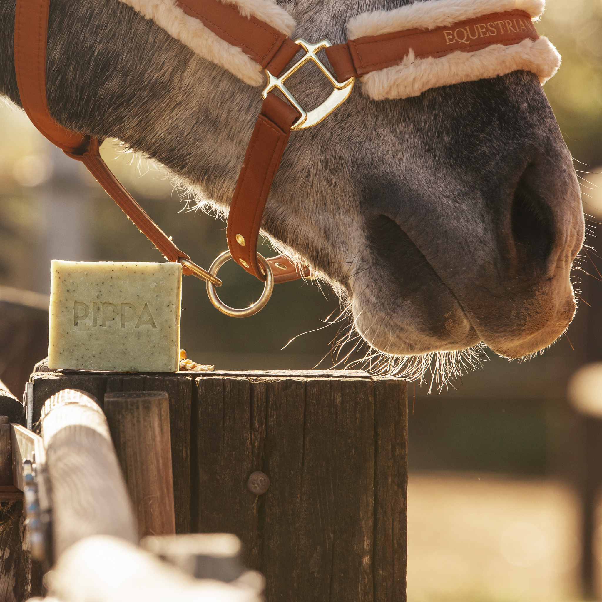 Pippa paarden shampoobar Poppy Seed & Lime met zakje