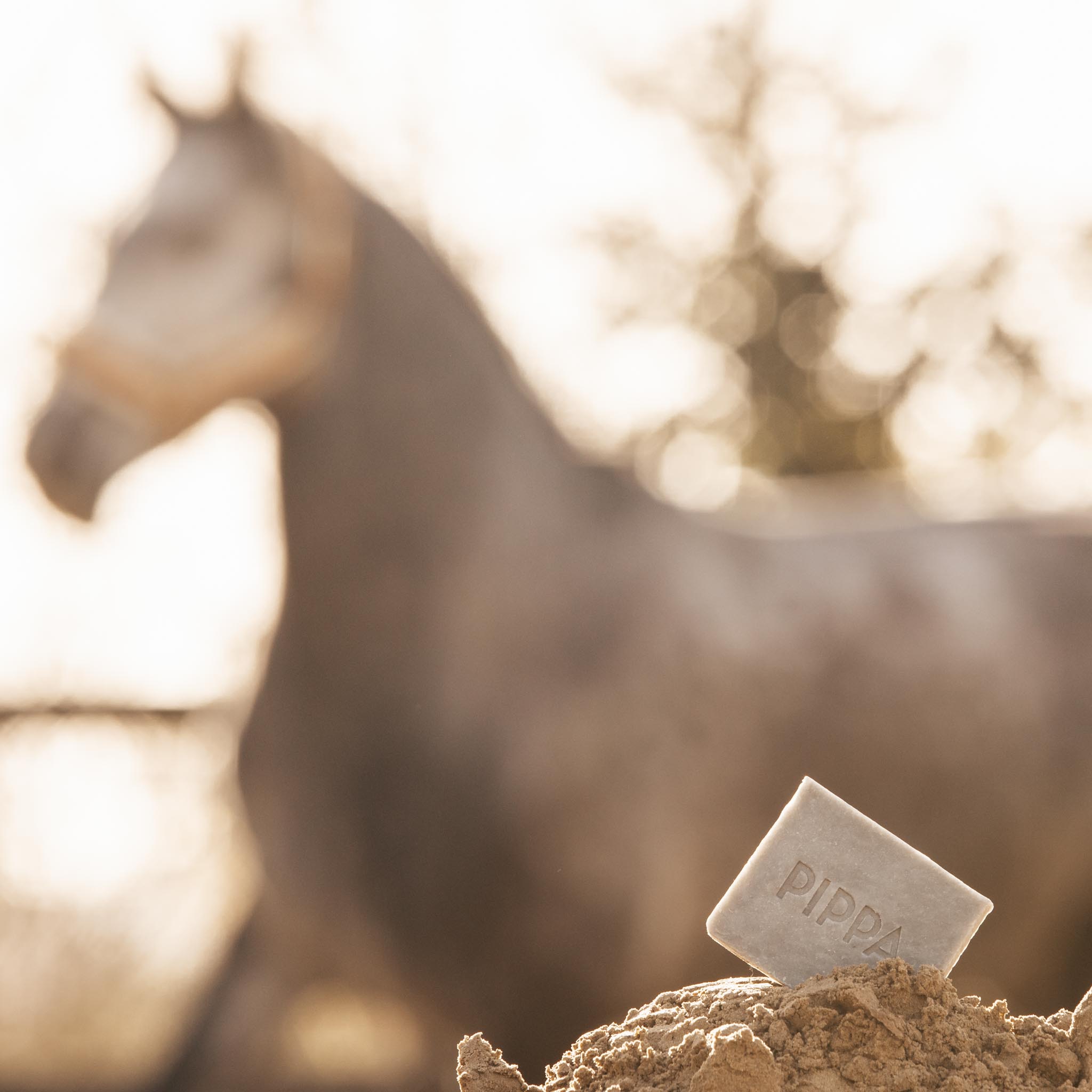 Pippa paarden shampoobar Charcoal & Peppermint met zakje