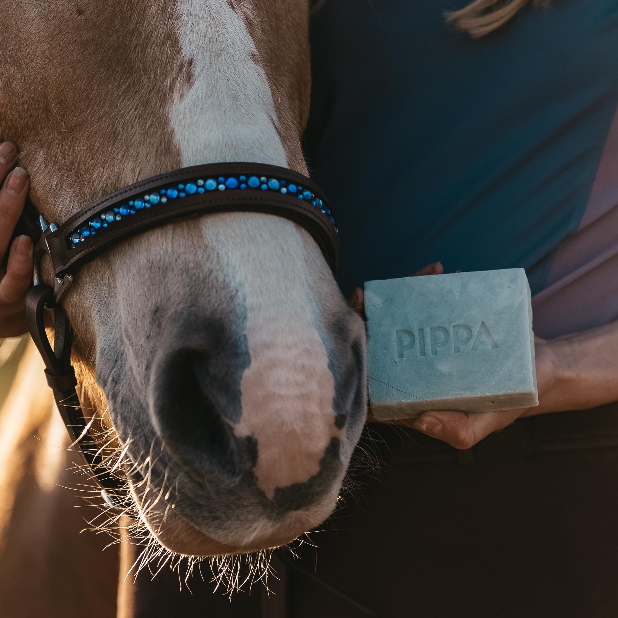 Pippa paarden shampoobar Aloe Vera & Avocado met zakje