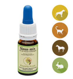 Sinus mix 10 ml